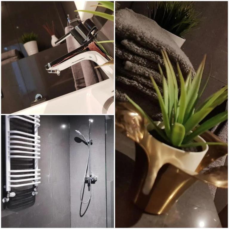 Apartmán The M O D E R N C I T Y Spot Katovice Exteriér fotografie